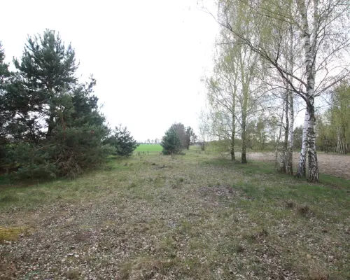 Duża działka 0,6 ha rolno budowlana Wola Lisowska