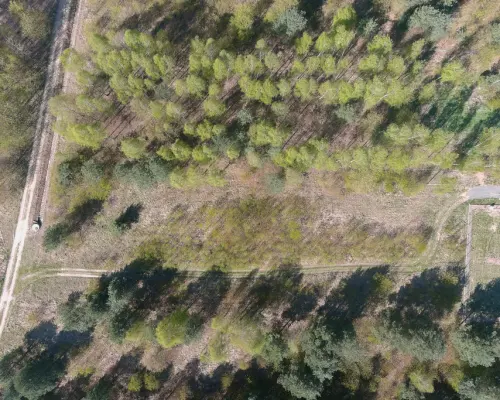 Nowa Gorzelnia k.Blachowni | Działka na sprzedaż
