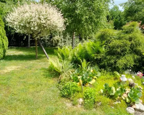 Siedlisko 44 a w Ożarowie gm. Jastków (lubelskie).
