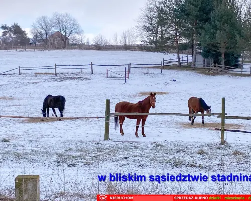 Siedlisko na wsi 35 km od Lublina.