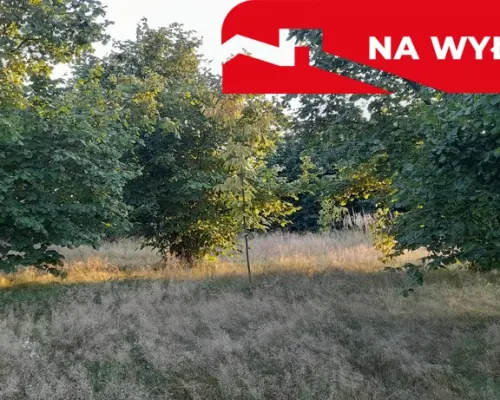 Ładna, uzbrojona działka pod lasem-33a-Wilczopole