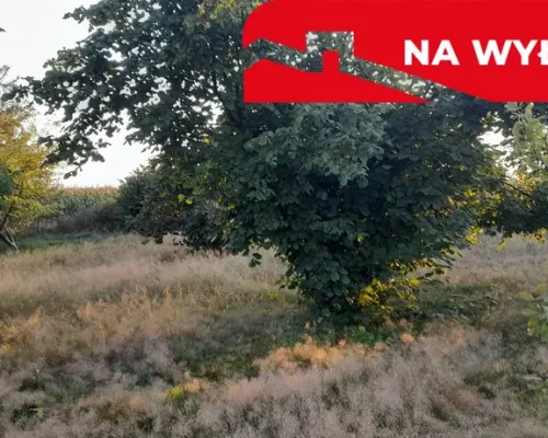Ładna, uzbrojona działka pod lasem-33a-Wilczopole
