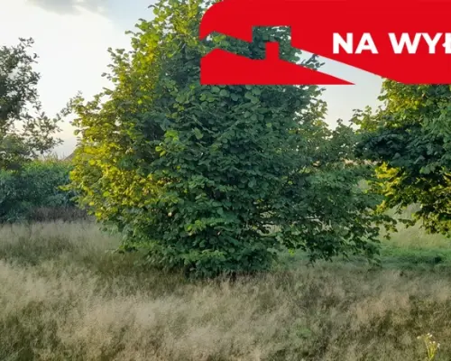 Ładna, uzbrojona działka pod lasem-33a-Wilczopole