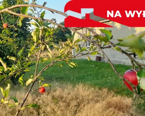 Ładna, uzbrojona działka pod lasem-33a-Wilczopole