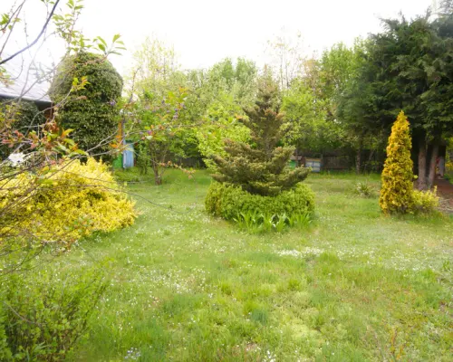 Siedlisko, inwestycja, 1.62ha