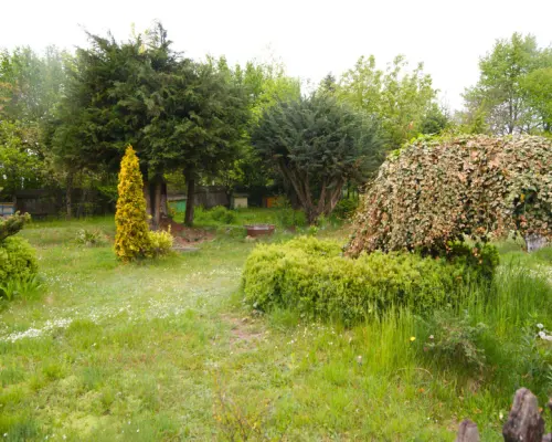 Siedlisko, inwestycja, 1.62ha