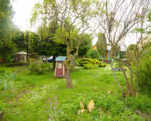 Siedlisko, inwestycja, 1.62ha