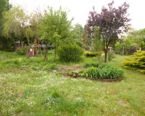 Siedlisko, inwestycja, 1.62ha