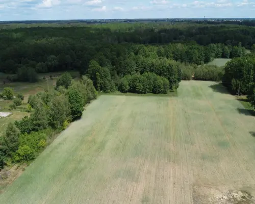 Działka budowlana 3000 m2 w Siekierce gm. Chotcza