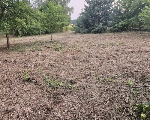 Działka rolno-budowlana 1,52 ha Dąbrowa gm. Ludwin