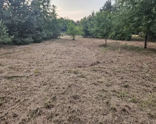 Działka rolno-budowlana 1,52 ha Dąbrowa gm. Ludwin