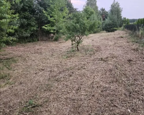 Działka rolno-budowlana 1,52 ha Dąbrowa gm. Ludwin