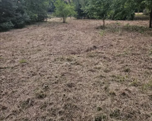 Działka rolno-budowlana 1,52 ha Dąbrowa gm. Ludwin
