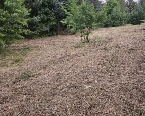 Działka rolno-budowlana 1,52 ha Dąbrowa gm. Ludwin