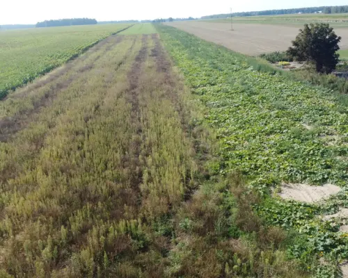 Miłków Kolonia. Piękna działka budowlana!