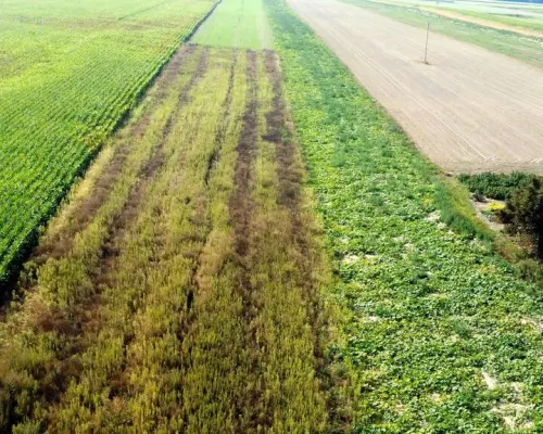 Miłków Kolonia. Piękna działka budowlana!
