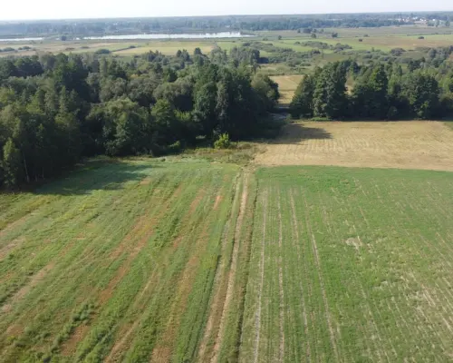 Piękna działka rolno-budowlana, Żminne, Parczew.