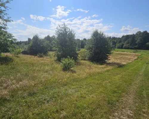 Działka,Luta, Włodawa, 1,5 ha, budowlana, urokliwa