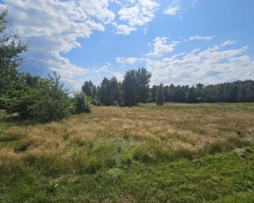 Działka,Luta, Włodawa, 1,5 ha, budowlana, urokliwa