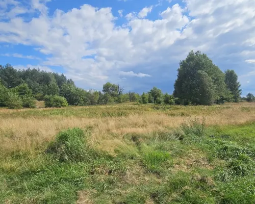 Działka,Luta, Włodawa, 1,5 ha, budowlana, urokliwa
