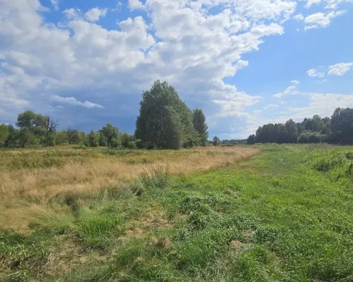 Działka,Luta, Włodawa, 1,5 ha, budowlana, urokliwa