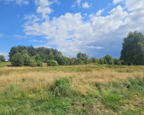 Działka,Luta, Włodawa, 1,5 ha, budowlana, urokliwa