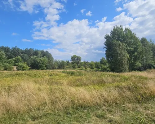 Działka,Luta, Włodawa, 1,5 ha, budowlana, urokliwa