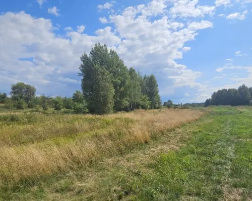 Działka,Luta, Włodawa, 1,5 ha, budowlana, urokliwa