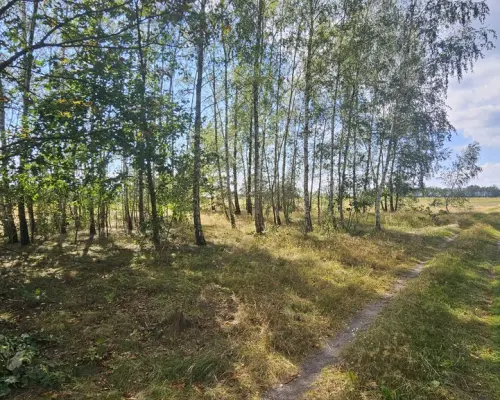 Działka, Wólka Wytycka, 10 ar, budowlana