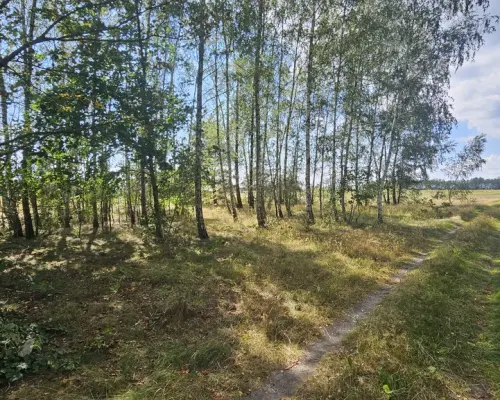 Działka, Wólka Wytycka, 10 ar, budowlana