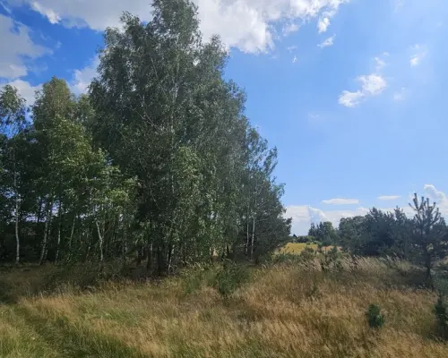 Działka, Wólka Wytycka, 10 ar, budowlana