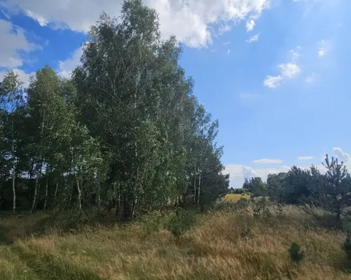 Działka, Wólka Wytycka, 10 ar, budowlana