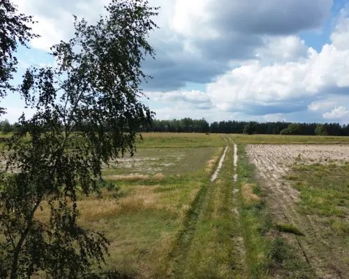 Działka, Wólka Wytycka, 10 ar, budowlana