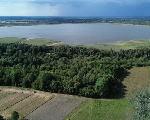 Działka, Wólka Nadrybska, 30 ar,