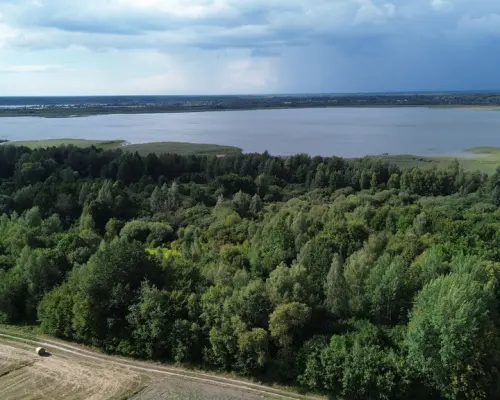 Działka, Wólka Nadrybska, 30 ar,
