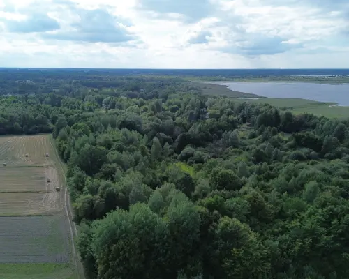 Działka, Wólka Nadrybska, 30 ar,