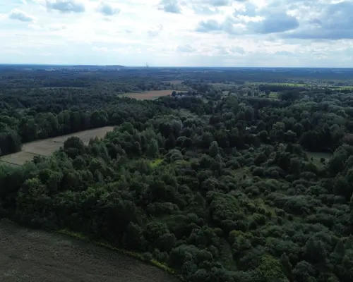 Działka, Wólka Nadrybska, 30 ar,