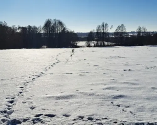 Piękna działka rolno-budowlana, Żminne, Parczew.