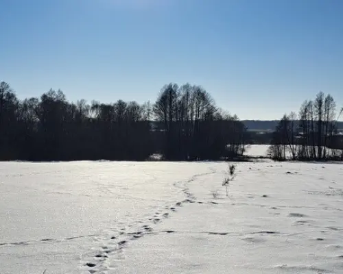 Piękna działka rolno-budowlana, Żminne, Parczew.