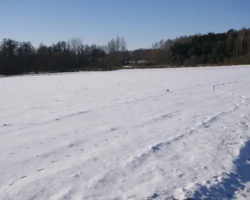 Piękna działka rolno-budowlana, Żminne, Parczew.