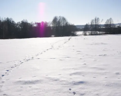 Piękna działka rolno-budowlana, Żminne, Parczew.