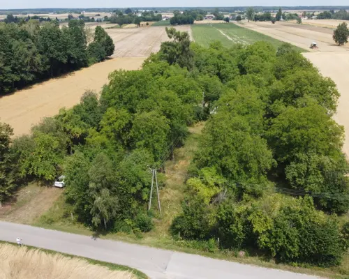Działka 1,13 ha (starodrzew) 1,5 godz. od Warszawy