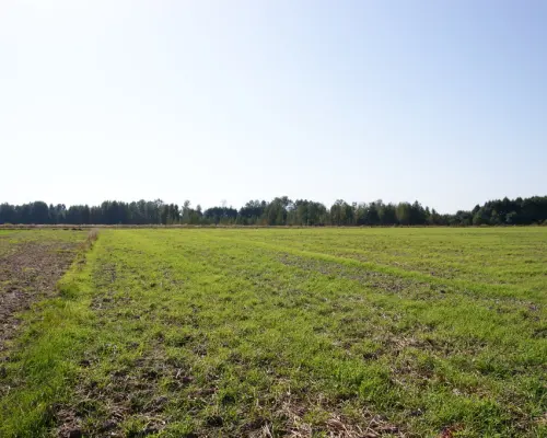 Działka budowlana 18ar obok jezioro Krasne