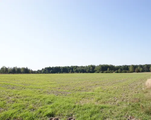 Działka budowlana 18ar obok jezioro Krasne