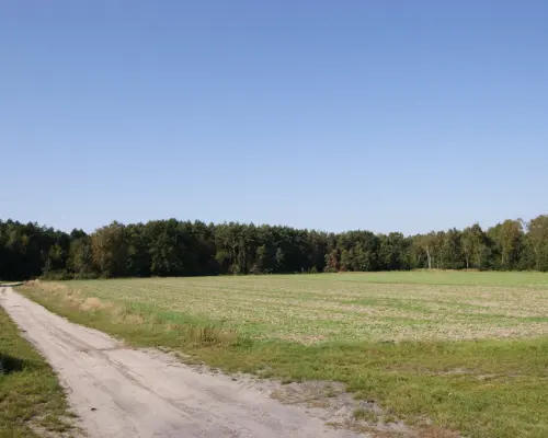 Działka budowlana 18ar obok jezioro Krasne