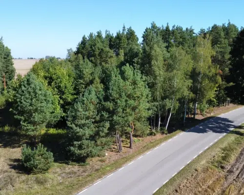 Działka z WZ 2100 m2 Szlachecki Las gm. Przyłęk...