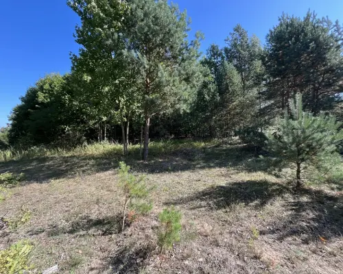 Działka z WZ 2100 m2 Szlachecki Las gm. Przyłęk...