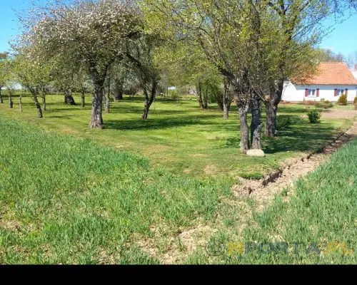 SIEDLISKO DOM 120 m2 - 2 STAWY - 15 ha Ziemi rolnej - SAD OWOCOWY - LAS -