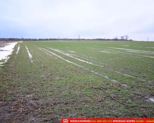 Wierciszów, działka budowlana MN, media.