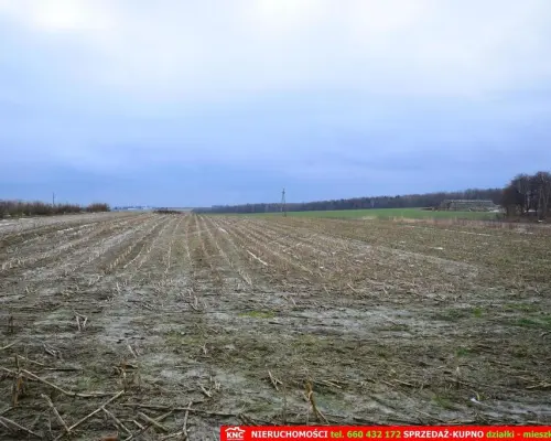 Wierciszów, działki budowlane MN, media 100%.